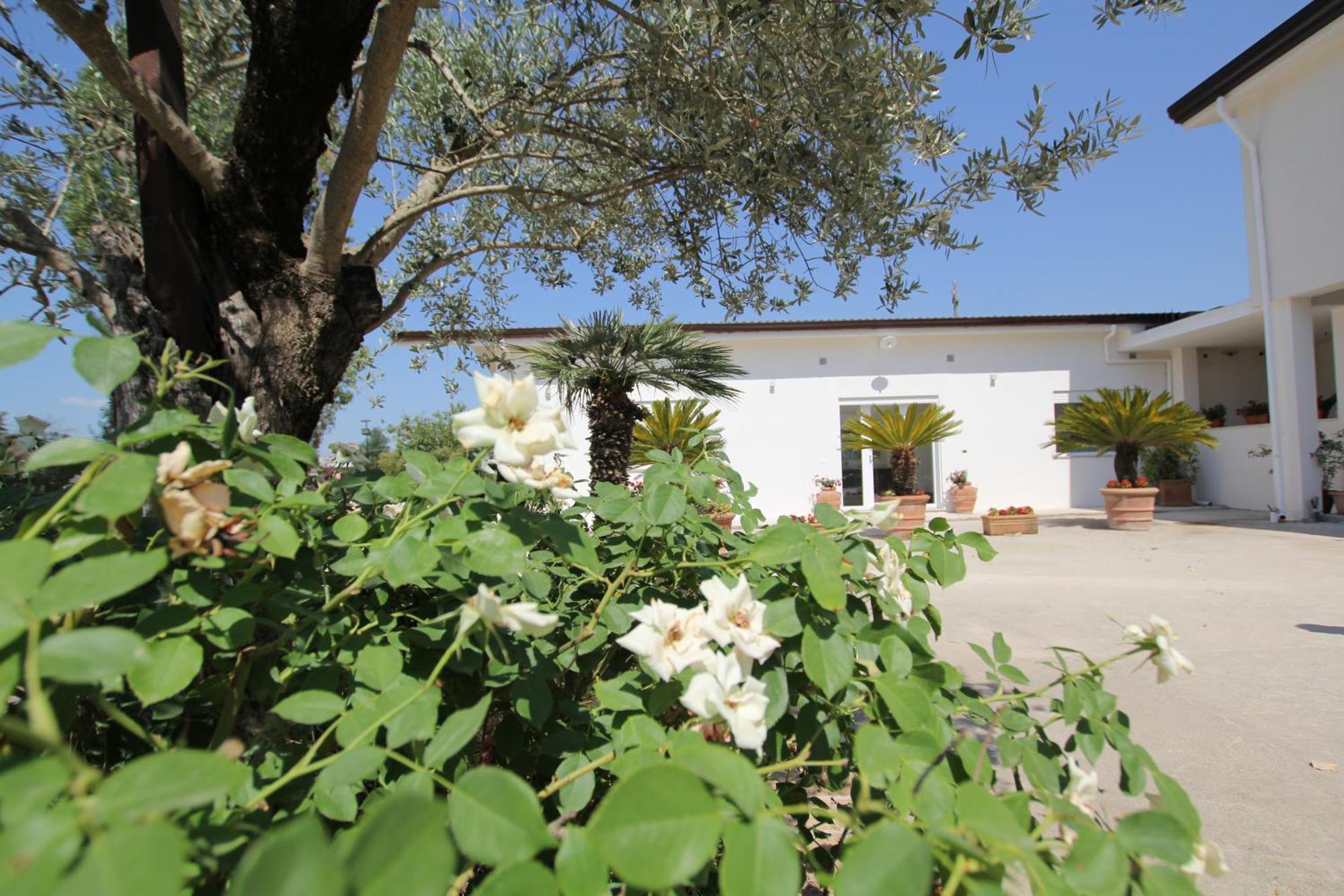 Villa Capodacqua Castrocielo Dış mekan fotoğraf